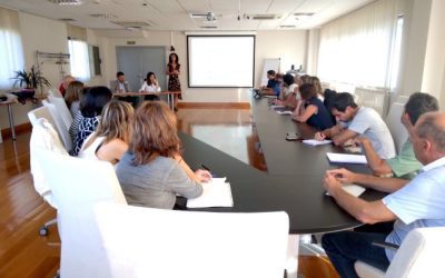 Debagoienerako plana lantzen, HARIXA erreferentziatzat hartuta